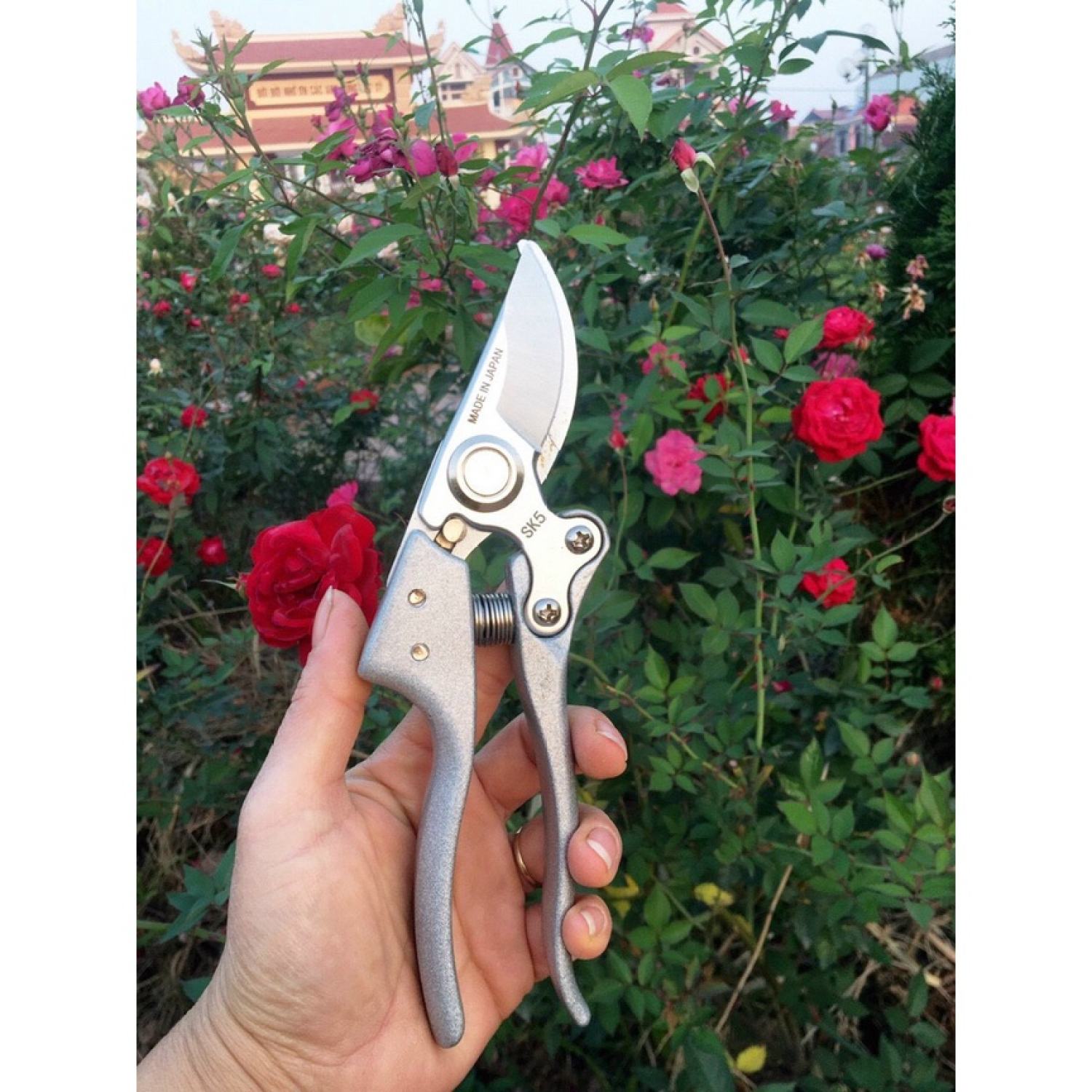 Bộ 4 dụng cụ chăm sóc cây cảnh, bonsai