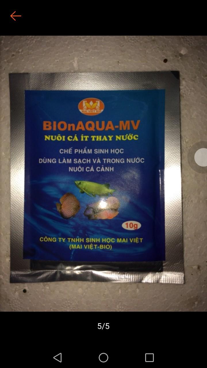 Men vi sinh Mai Việt xử lý nước hồ cá