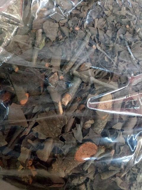 Cây tầm gửi gạo rừng 1 kg
