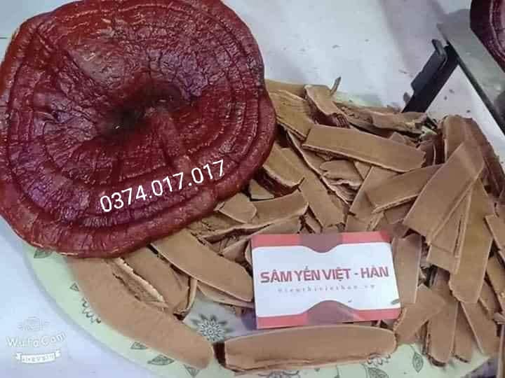 NẤM LINH CHI ĐỎ HÀN QUỐC ( TAI TO - DÀY ) TÚI 1KG (3-4 TAI)