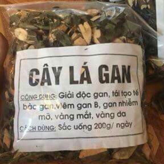 1kg cây lá gan