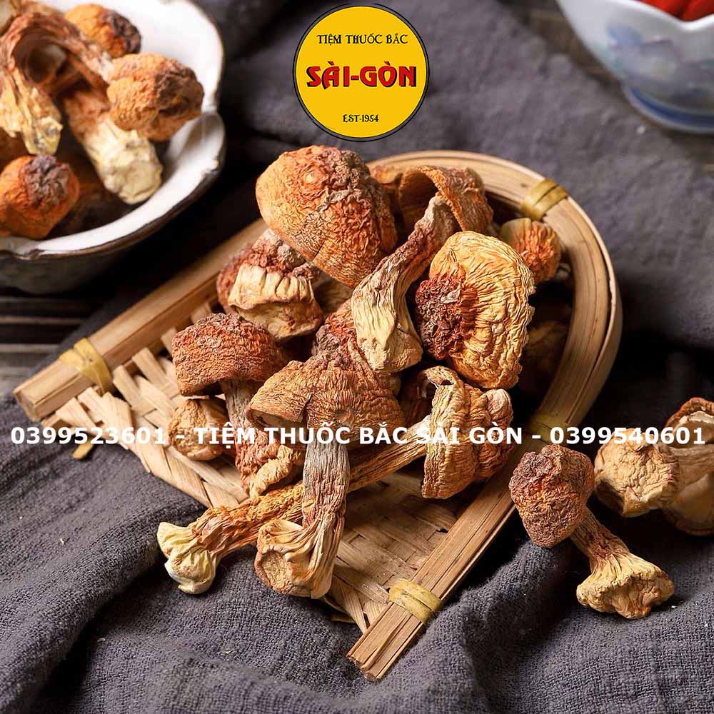 Nấm Tùng Nhung 100gram HÀNG TỰ NHIÊN (Nấm quý nấu canh dưỡng sinh, lẩu nấm, phục hồi sức khỏe)
