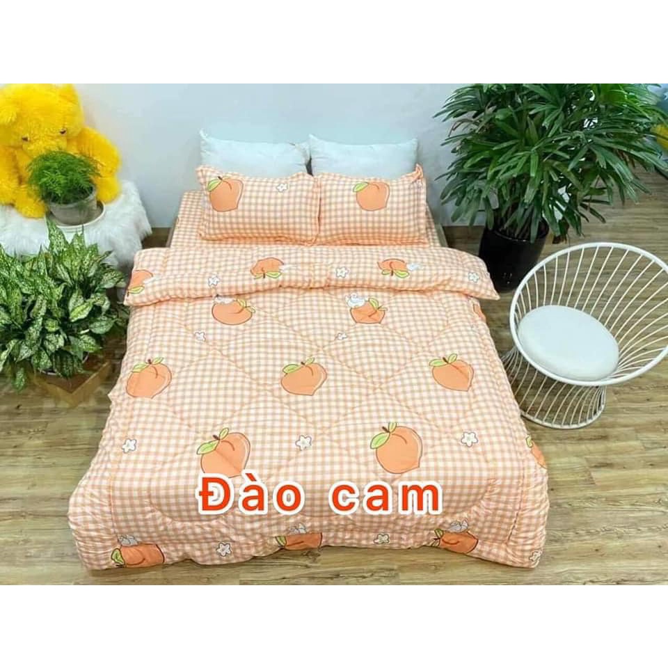 [ SIÊU SALE ] Chăn phao poly m8x2m mền siêu nhẹ