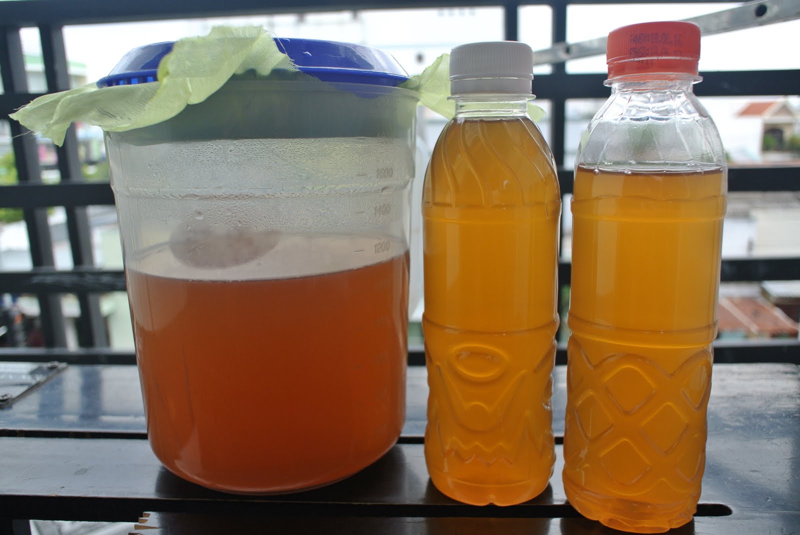 Nước mồi làm Kombucha 500ml (không kèm bình)