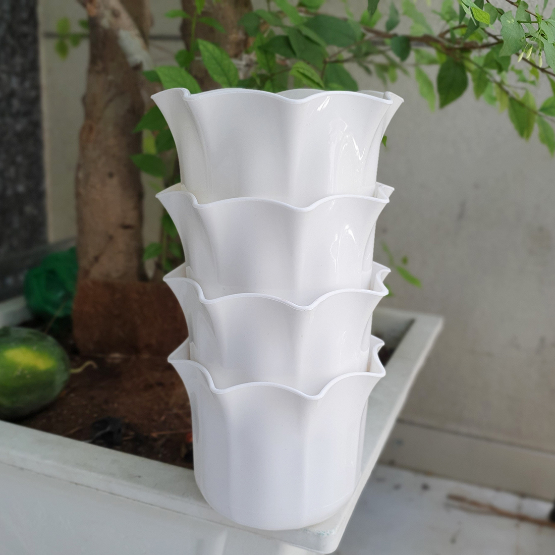 [HCM]Bộ 4 chậu hoa miệng bèo màu trắng 17x13cm