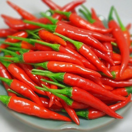 30h Hạt giống ớt chỉ thiên siêu cay (vườn ươm eakamart)