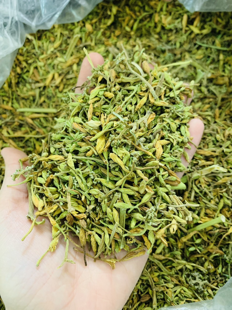 1kg Hoa đu đủ đực, đu đủ đực khô nguyên chất, hàng loại 1 thơm phức chất lượng, tốt cho sức khỏe