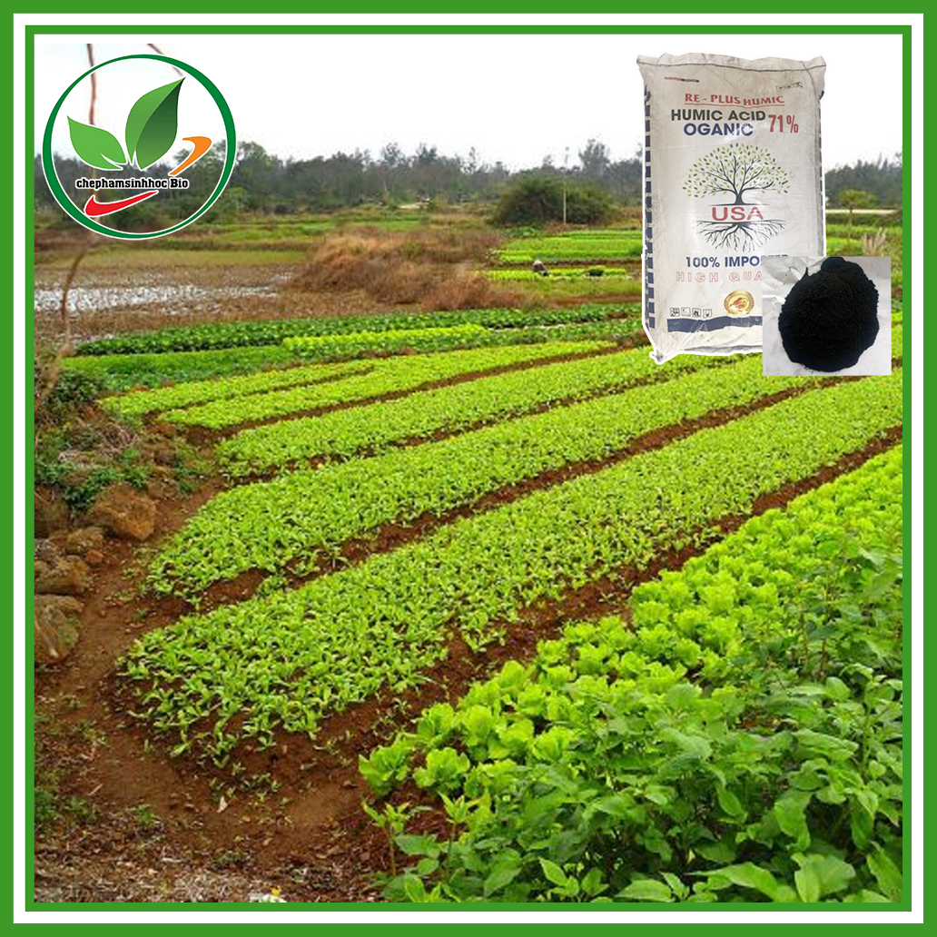 Phân bón HUMIC dạng bột. Bao 20kg