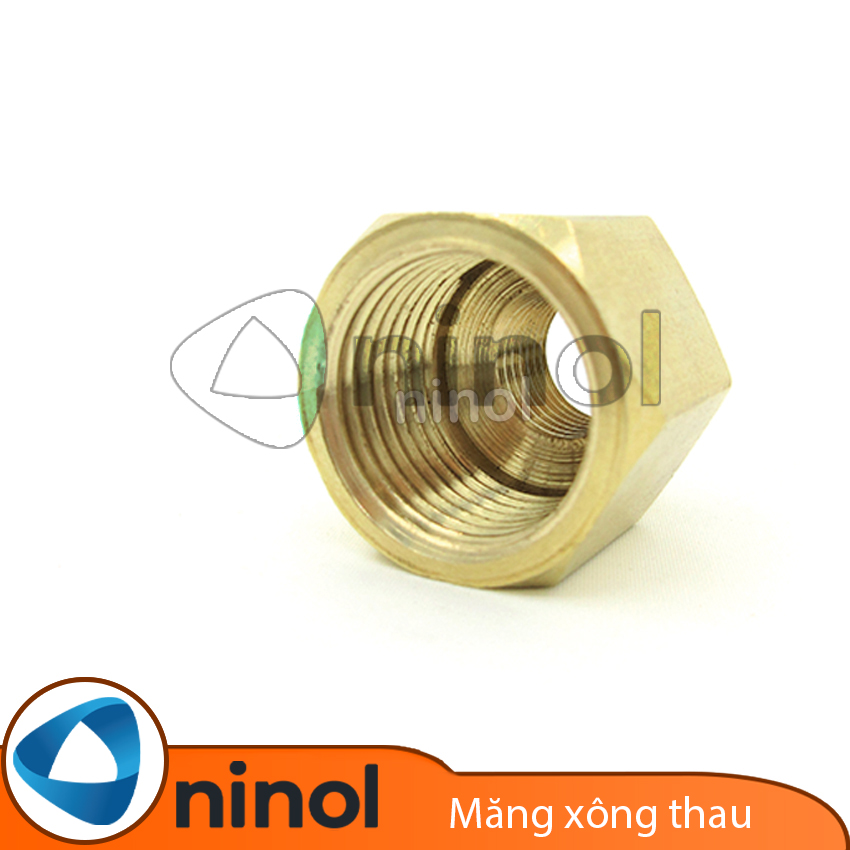 Nối thau 2 đầu ren trong