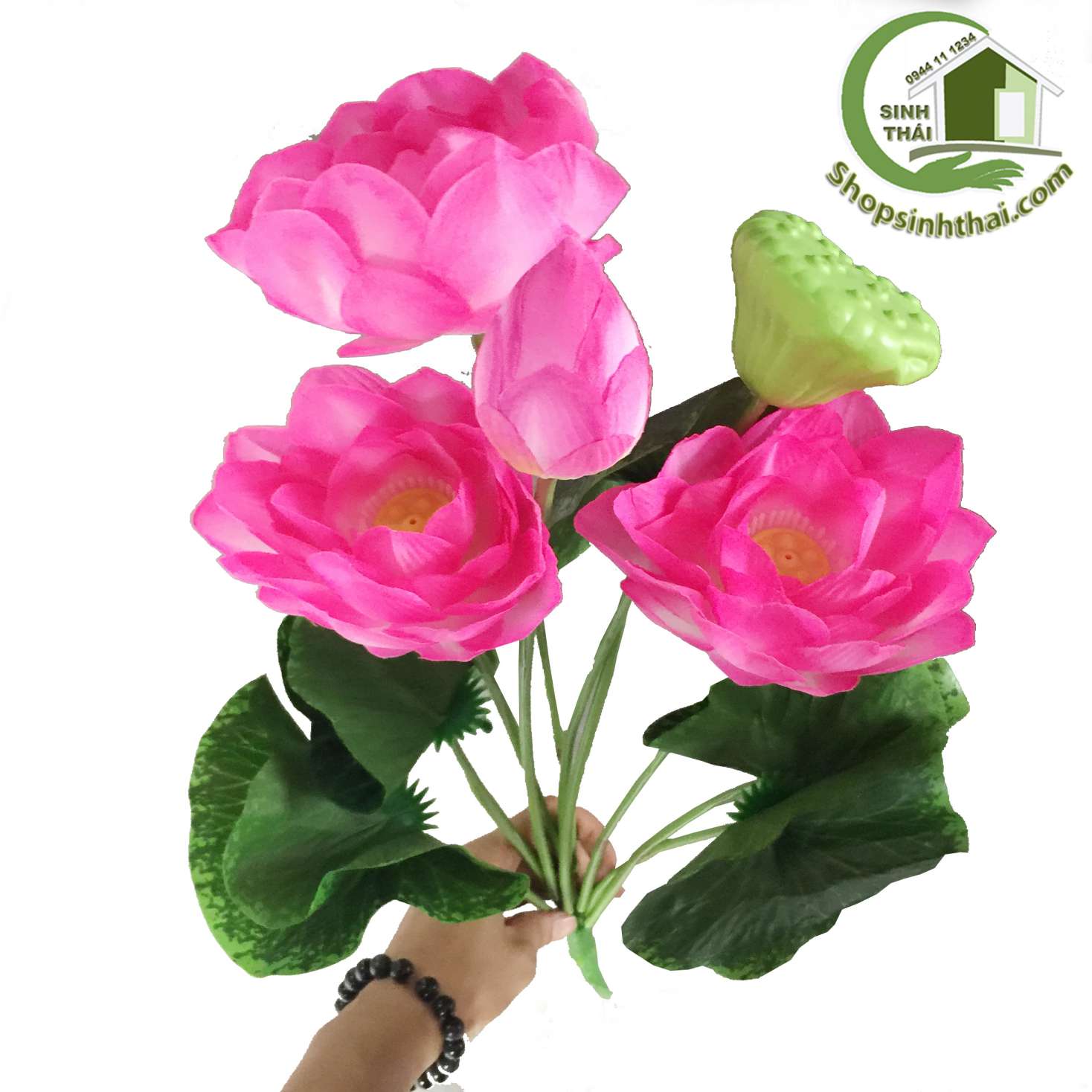 [HCM]Hoa sen giả - bụi sen lớn