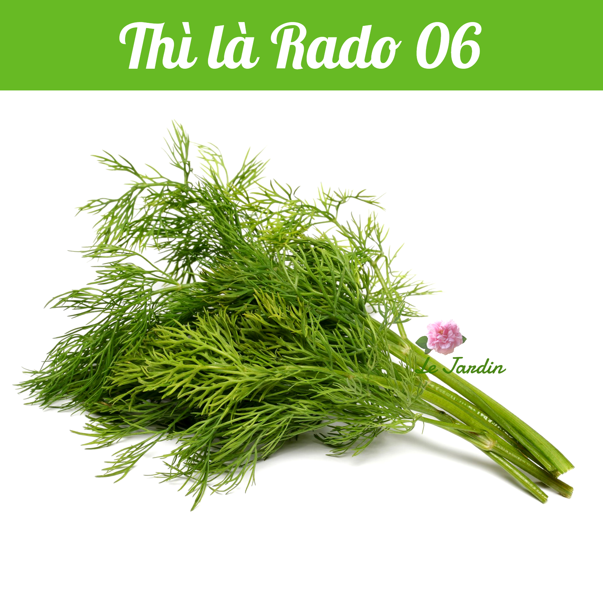 Dill Seeds 5gr Package
