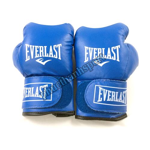 Găng đấm boxing Everlast 10oz
