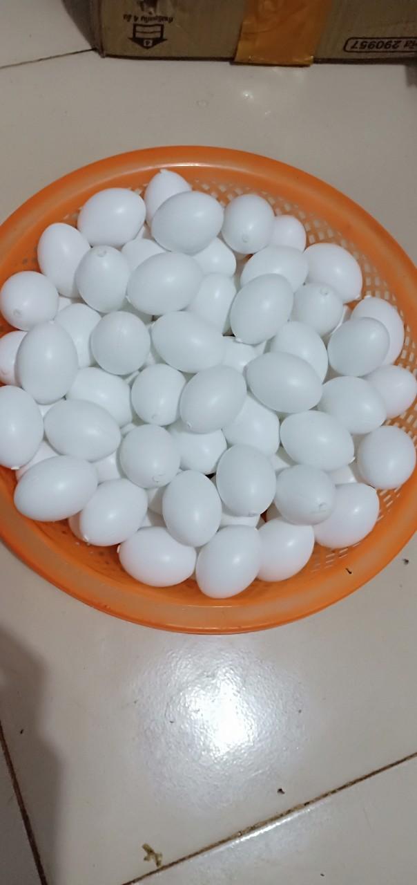 combo 10 trứng giả cho chim bồ câu