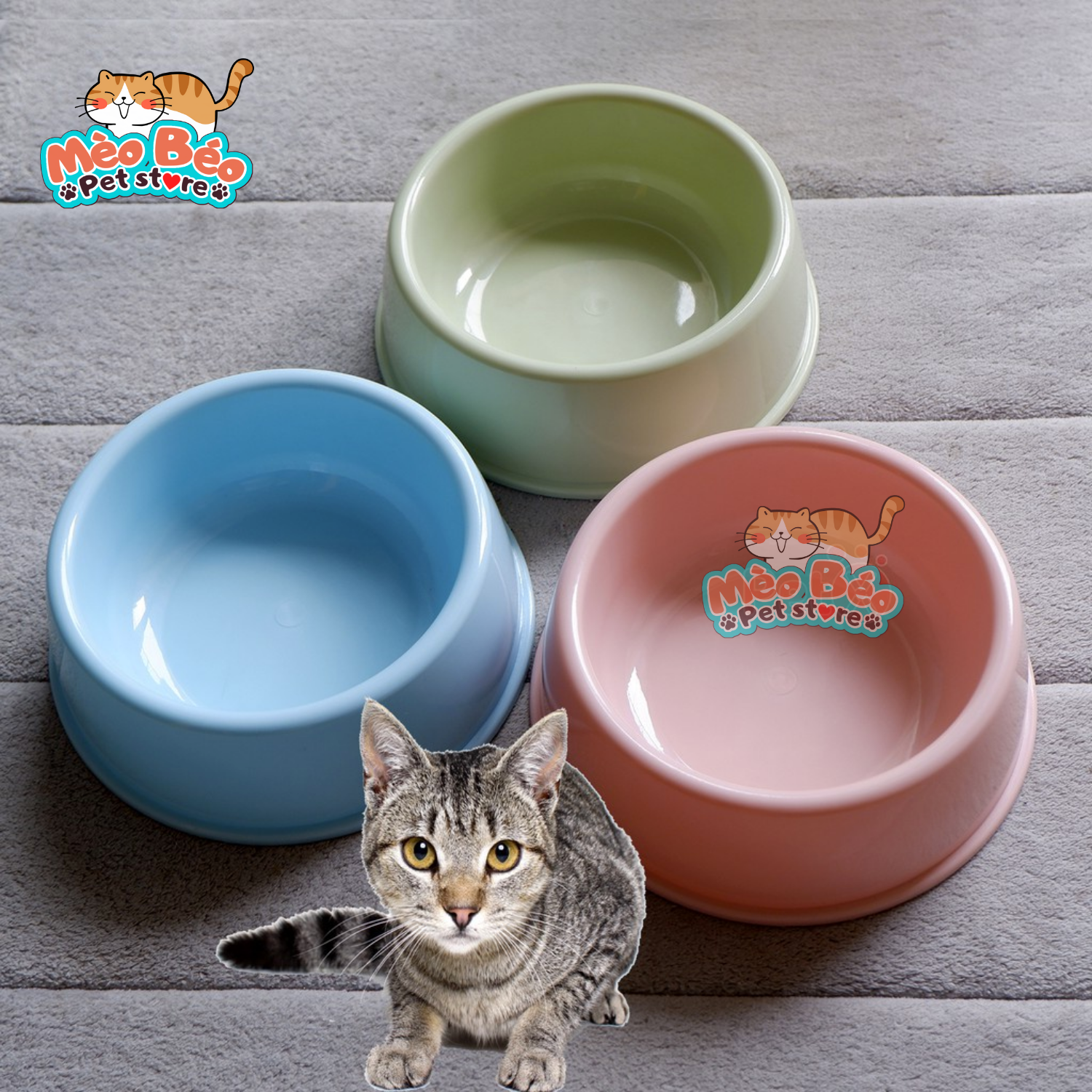 Bát ăn nhựa đơn cho thú cưng - 3 size