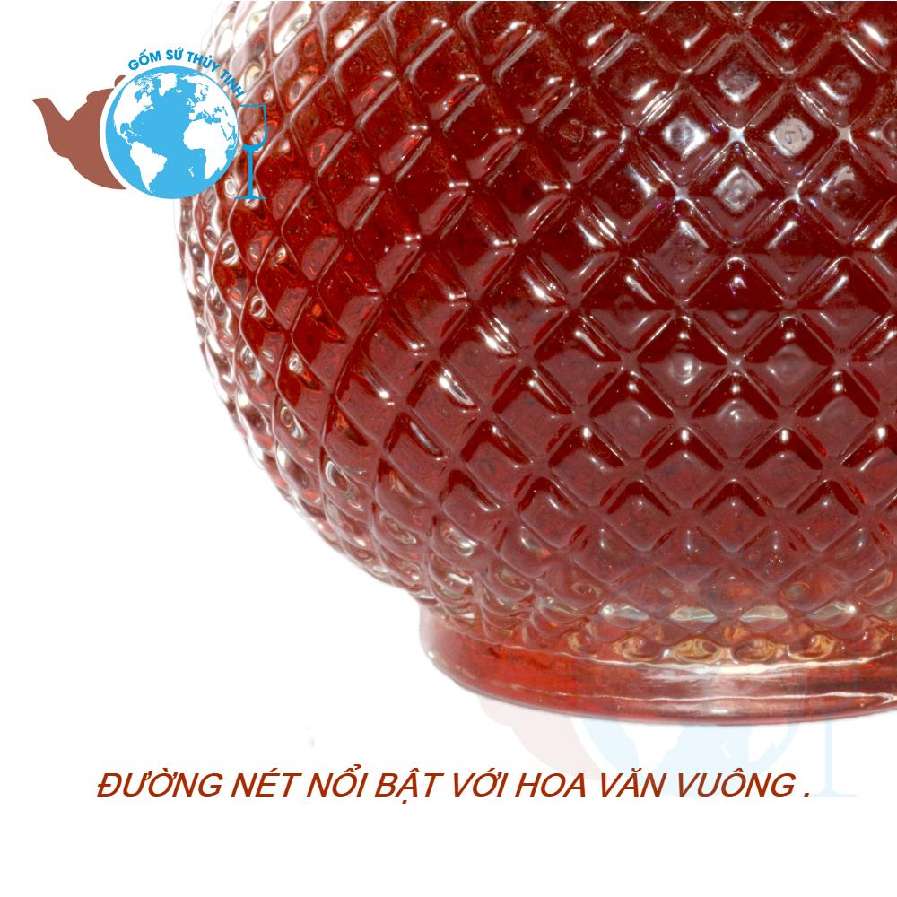 Bình đựng rượu ngâm sâm thuỷ tinh 1000ml - BR07-1