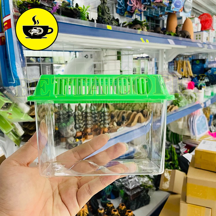 Bể Cá Mini Siêu tiện lợi - Hồ nuôi cá Betta Cá Cảnh Có Tay Quai Xách