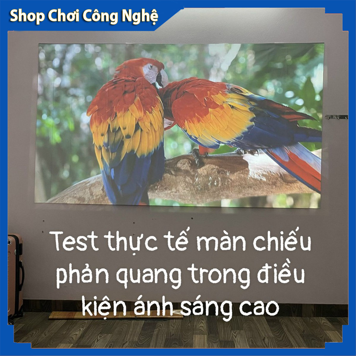 Màn hình máy chiếu phản quang 120 inh