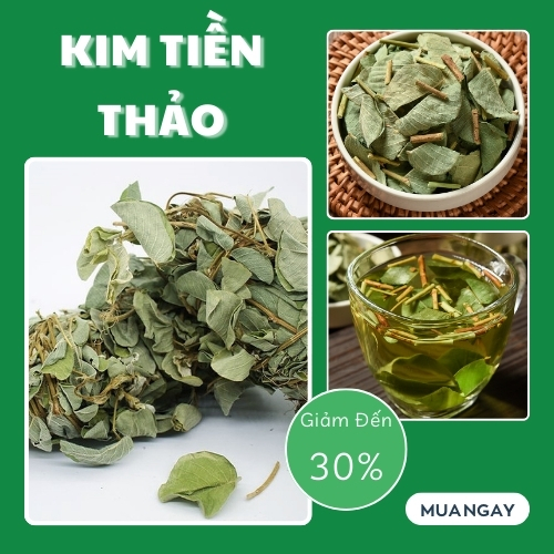Cây kim tiền thảo khô tấn phát túi lớn loại 1kg - Hàng công ty mới về - Sản phẩm chuyên dùng để pha trà