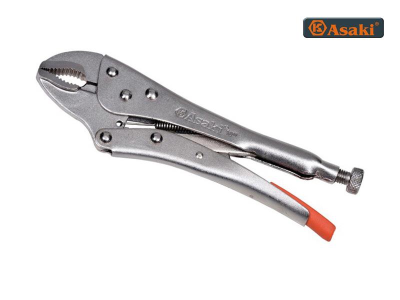Kìm chết MỎ OVAL Asaki AK-8258 C2-10inch