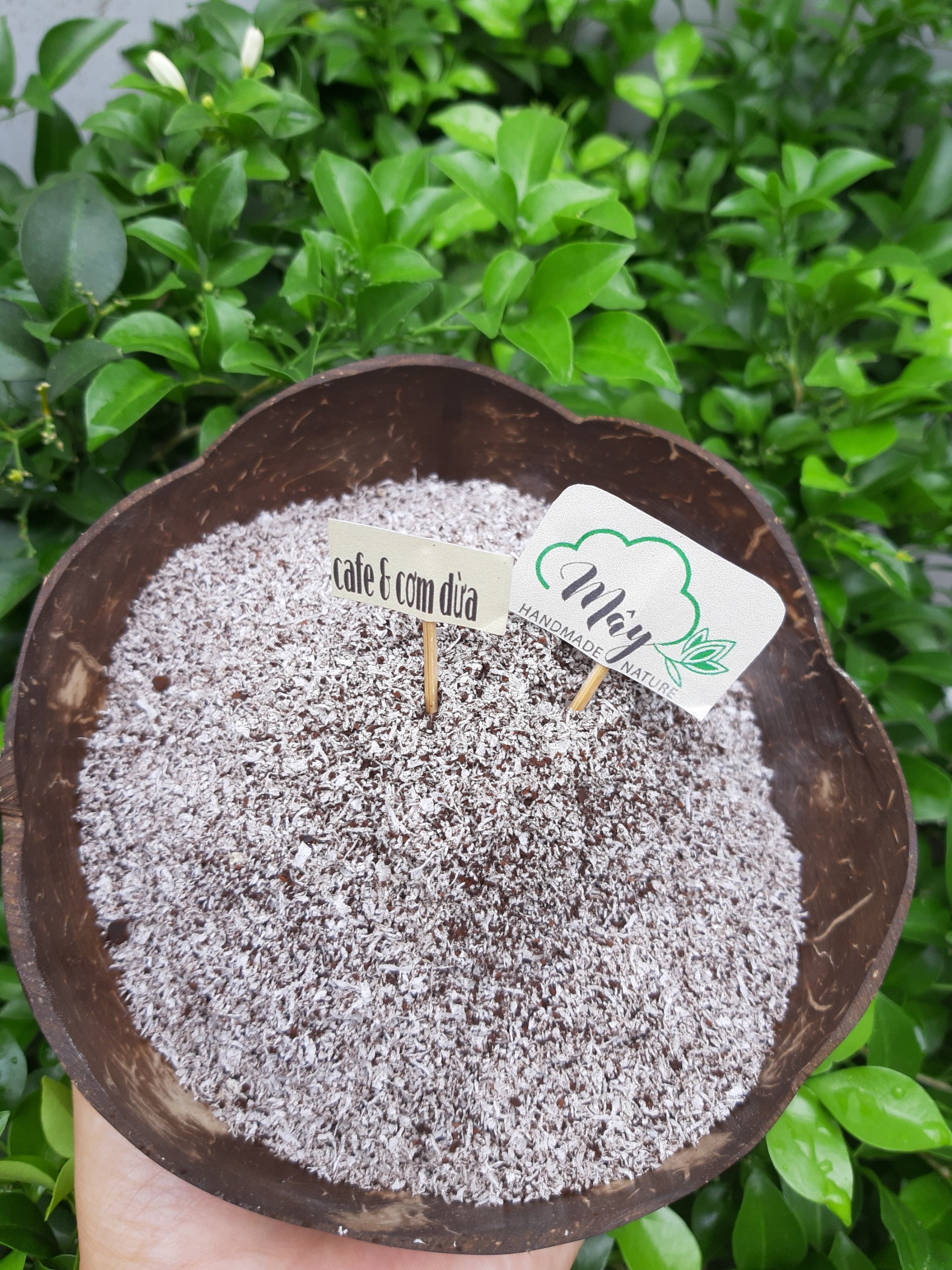 Bột cơm dừa cà phê handmade tẩy tế bào chết body