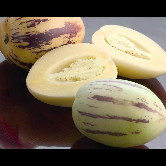 25 Hạt Hạt Giống Dưa Pepino (Solanum muricatum)