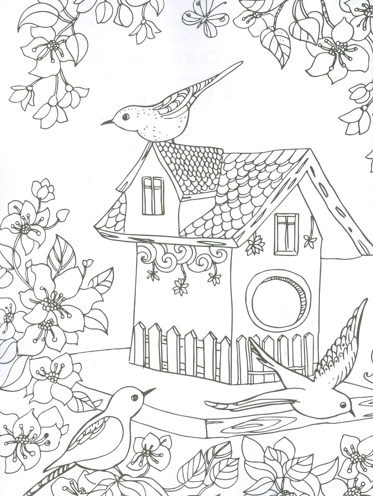 Countryside - Adults Colouring Book (Sách Tô Màu: Nông Thôn)