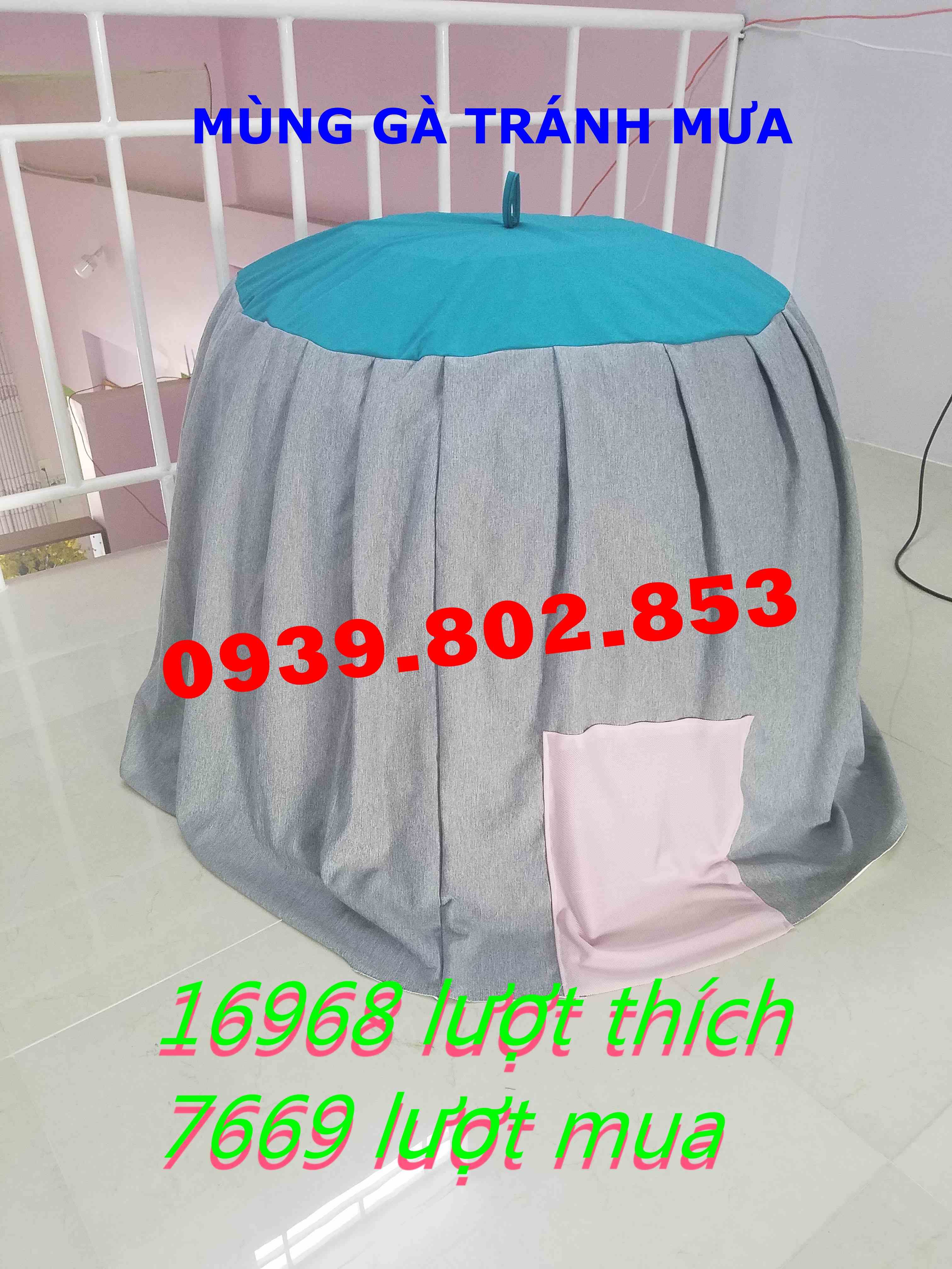 05 Mùng gà nòi tránh mưa
