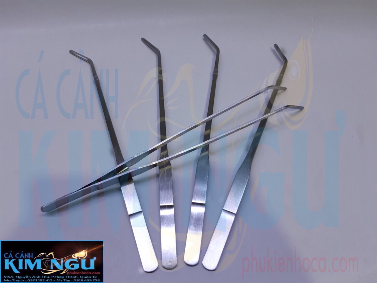 NHÍP CONG CẮM (NHỔ) CÂY THUỶ SINH 25CM