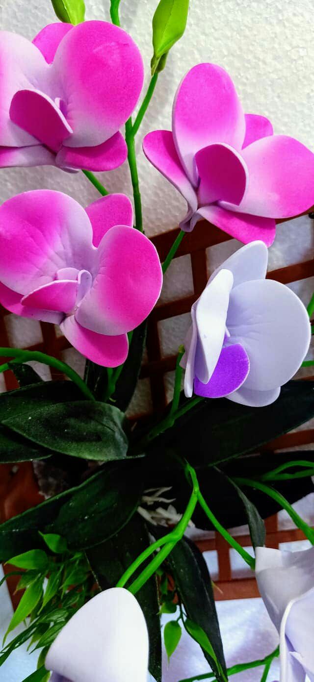 HOA TREO TƯỜNG