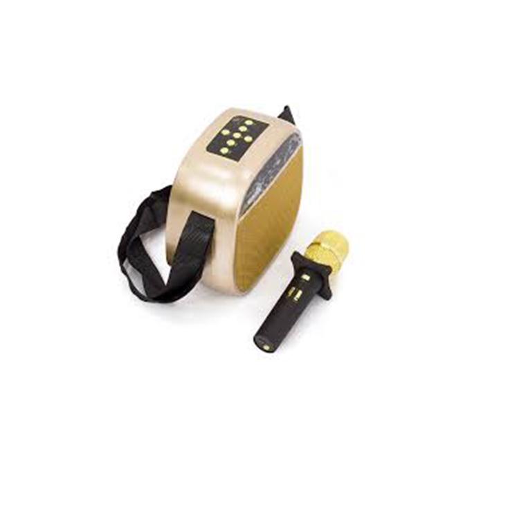 MIC LOA KARAOK YS 23