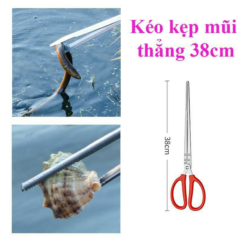 Kẹp bắt lươn cua cá hải sản