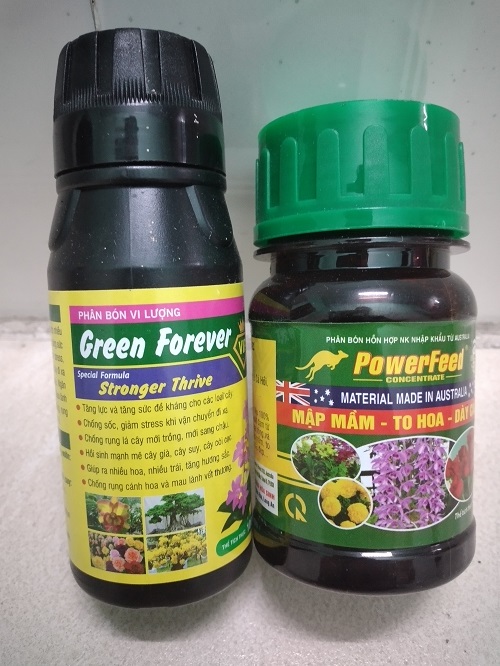 Combo green forever- stronger thrive- powerfeed chăm sóc hoa hồng, cây cảnh - chai 100ml