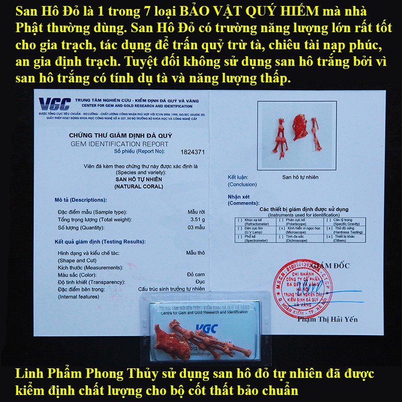Bộ Cốt Thất Bảo, Cốt Bát Hương Bát Nhang[Hàng Chuẩn]