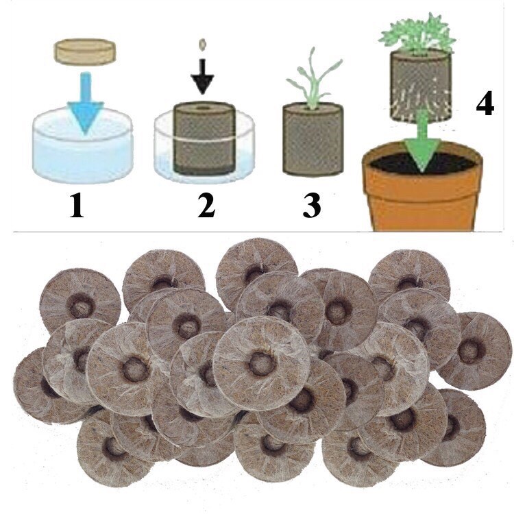 SET 20 Viên nén xơ dừa ươm hạt trồng rau, dâu tây, thủy canh