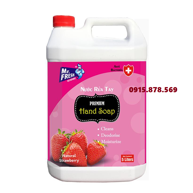 Nước rửa tay diệt khuẩn Mr Fresh can 5L