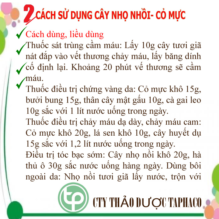 Cỏ Mực Sấy Khô 500g - TD Tấn Phát