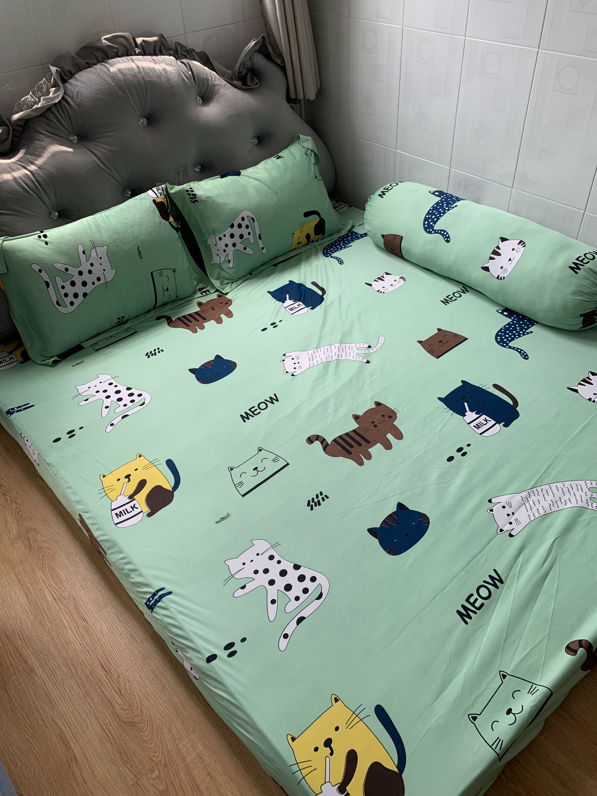 Bộ drap ga thun Hàn quốc mẫu chú mèo