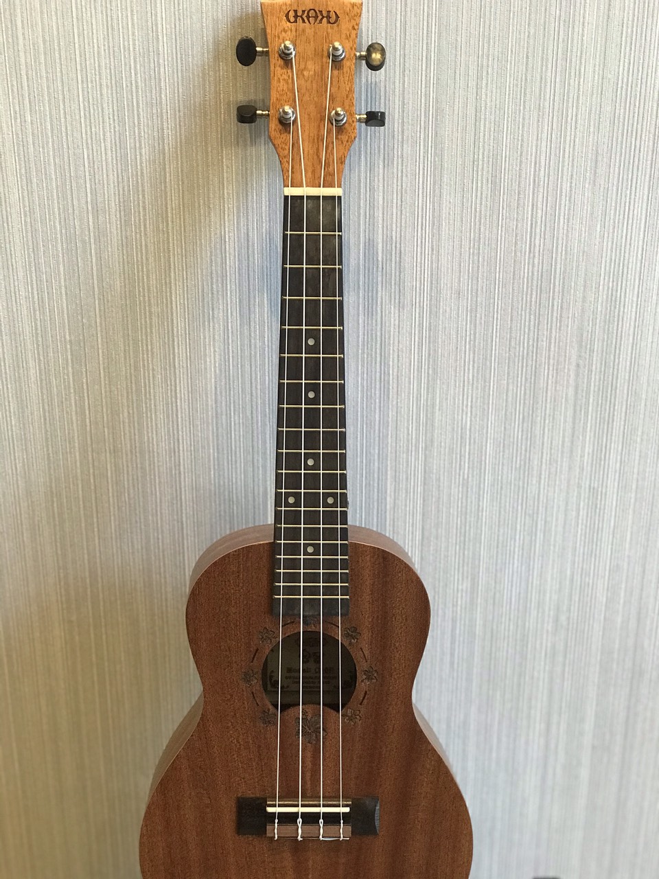 Đàn Ukulele concert Ukaku C10F Cao cấp