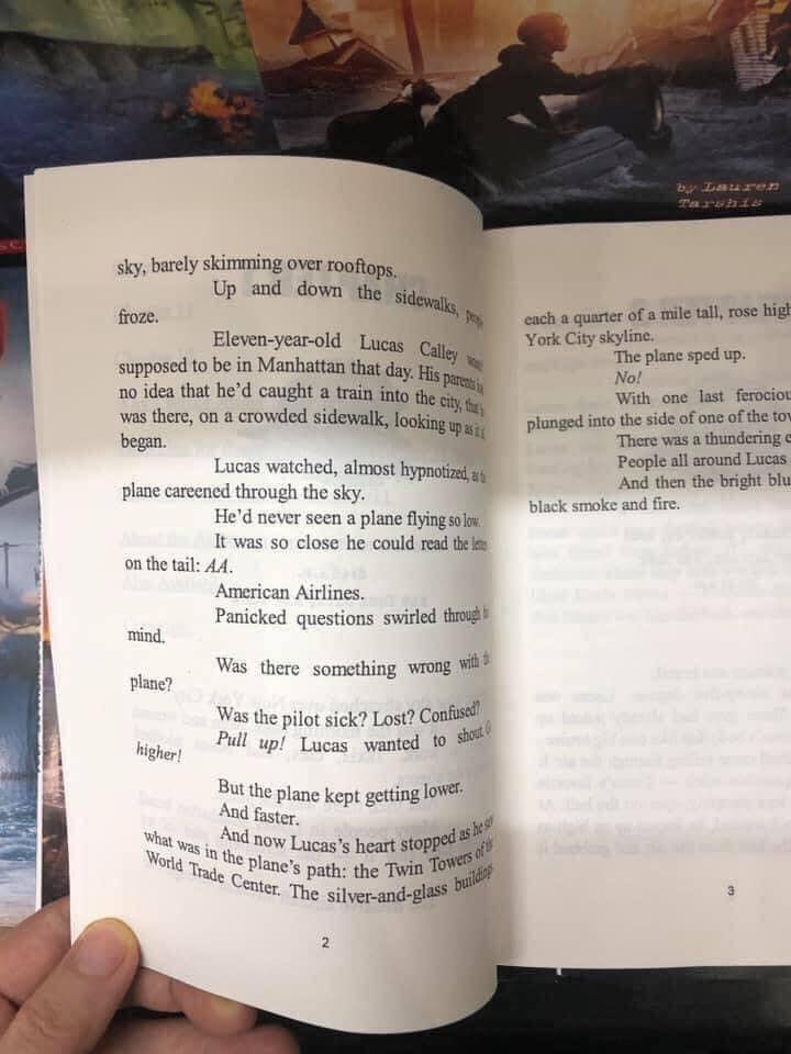 I SURVIVED (10 Books)