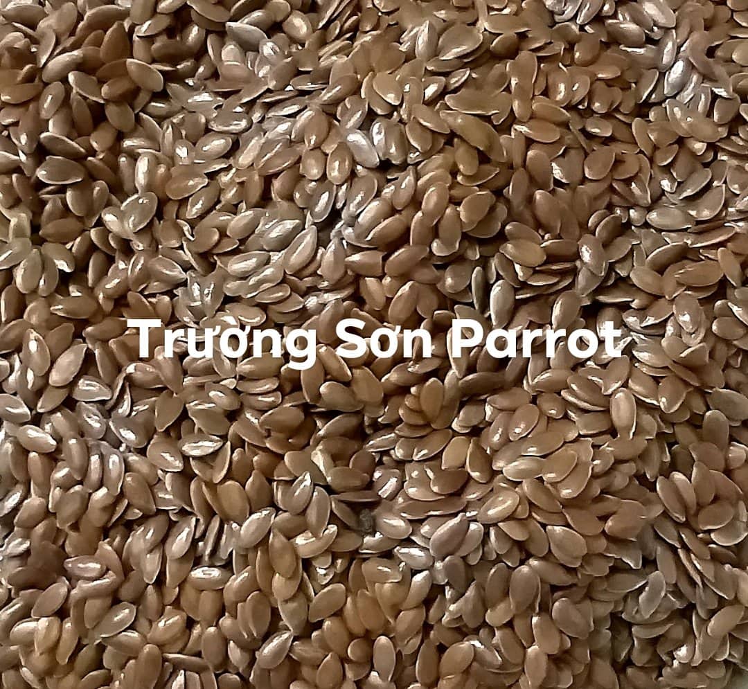 Hạt lanh sạch, nhập khẩu Canada gói 500g
