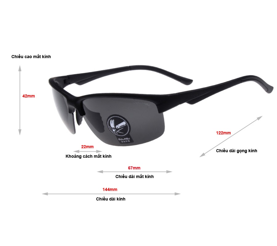 Polarized night vision goggles, day and night use