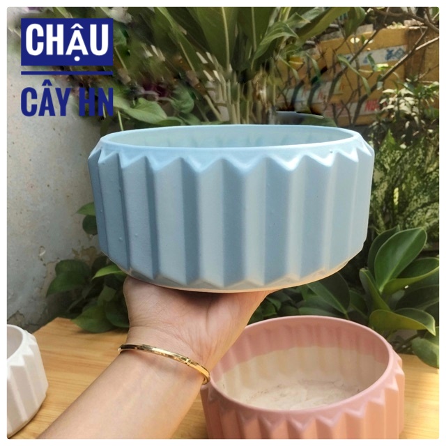 Ceramic staff plant bed table Bowl low interior shape bifurcylated cactus