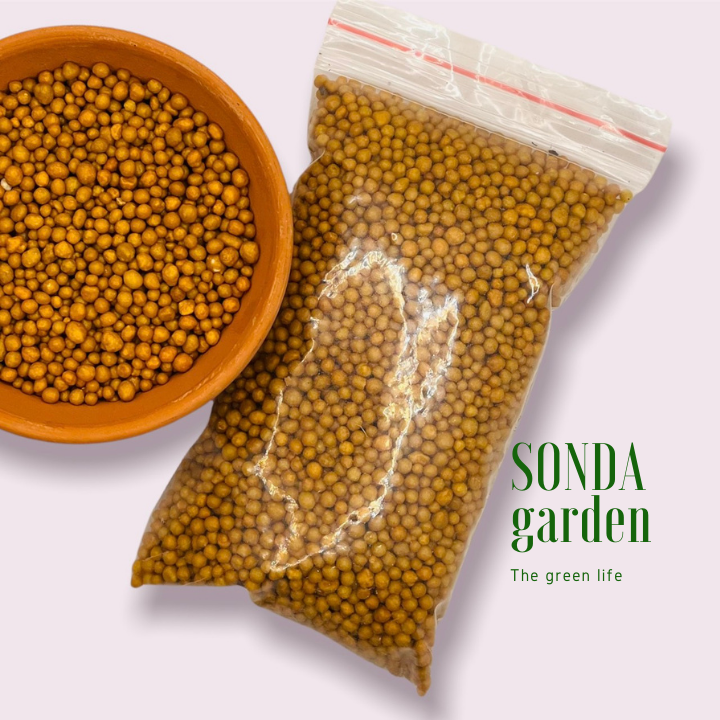 PHÂN TAN CHẬM (100g) BỔ DƯỠNG DÀNH CHO SEN ĐÁ