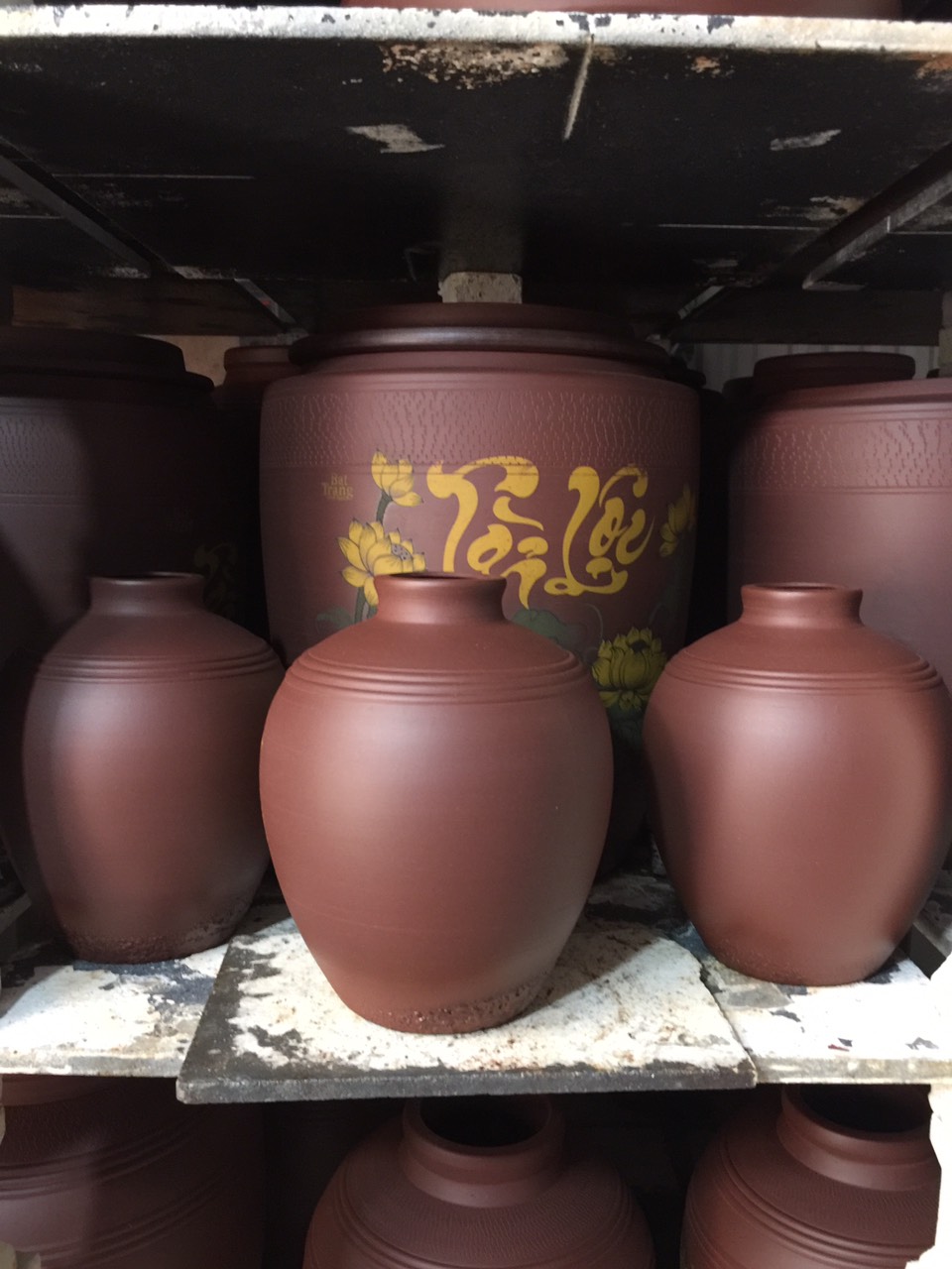Chum Sành Ngâm Rượu 20l