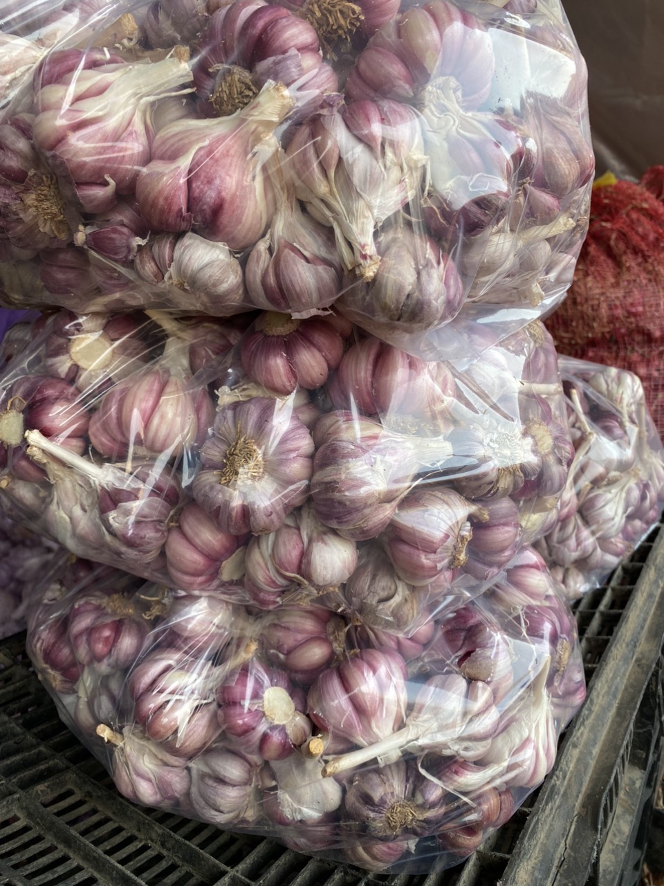 tỏi tím bắc loại 1 đạt chuẩn thơm,ngon, rẻ,(hành tím phan rang,tỏi cô đơn,tiêu,ớt bột)