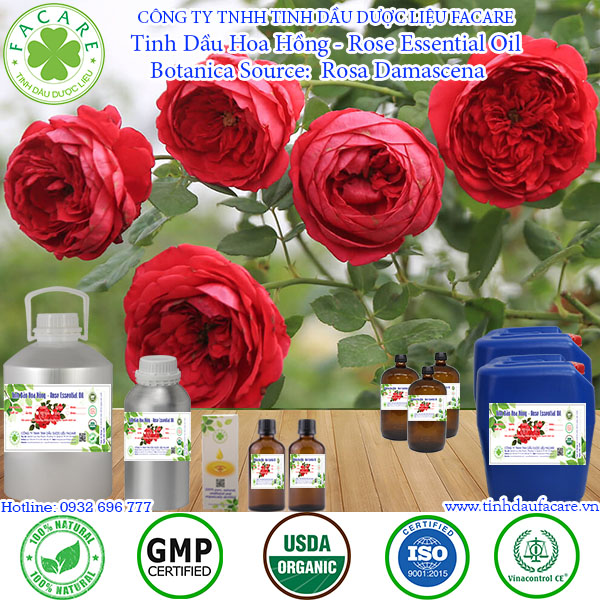 Tinh dầu Hoa Hồng rose essential oil - 10ml