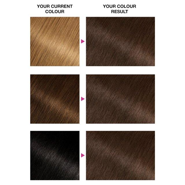 Garnier Olia Permanent Hair Color
