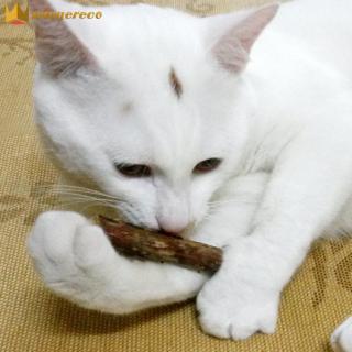 winnereco 25X Cat Cleaning Teeth Pure Natural Catnip Pet Cat Molar Toothpaste Stick(Ready Stock COD Available Low Price High Quality) thumbnail
