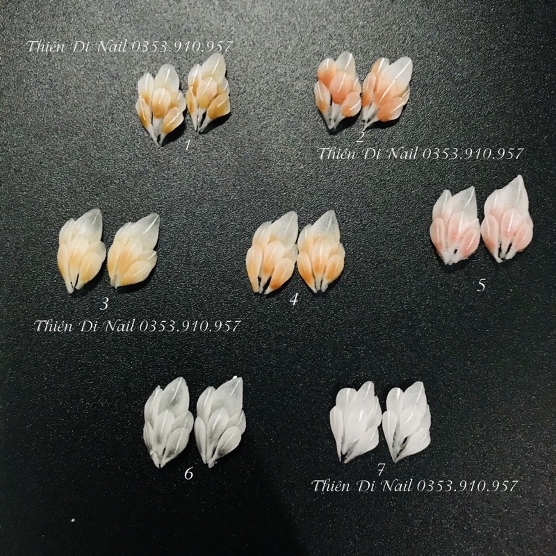 Hoa bột nail gắn móng tay hoa cúc góc tay - moon nail