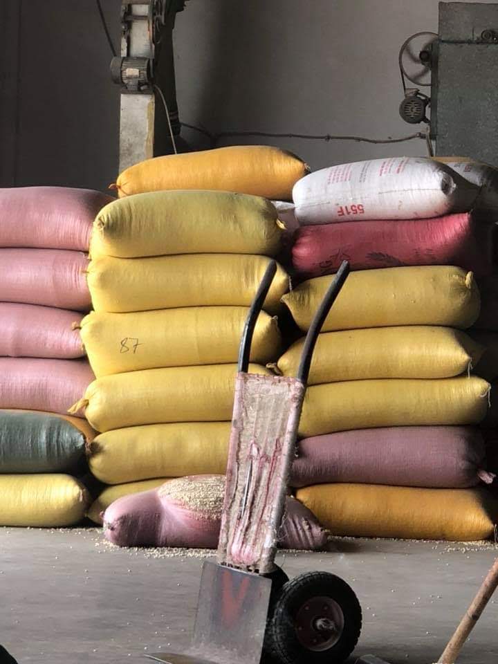 BẮP TRẮNG XAY 2 KG
